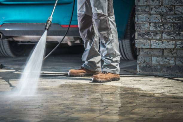 Best Roof Washing  in Ranchester, WY